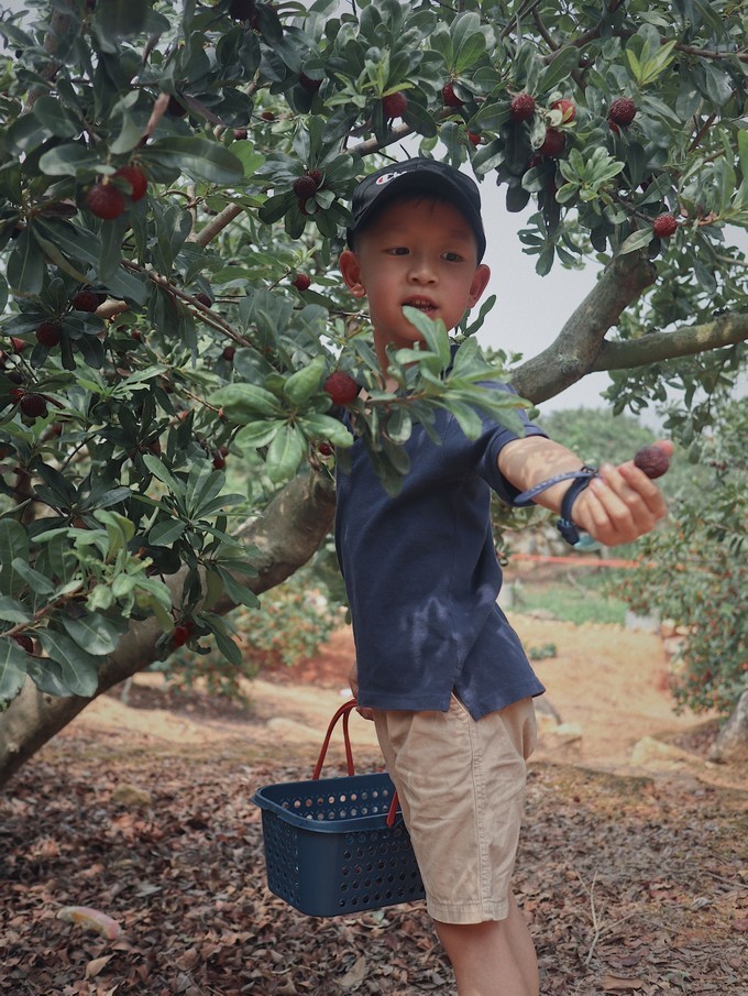 携家带口游火山岛,火山岛旅游攻略自由行包车