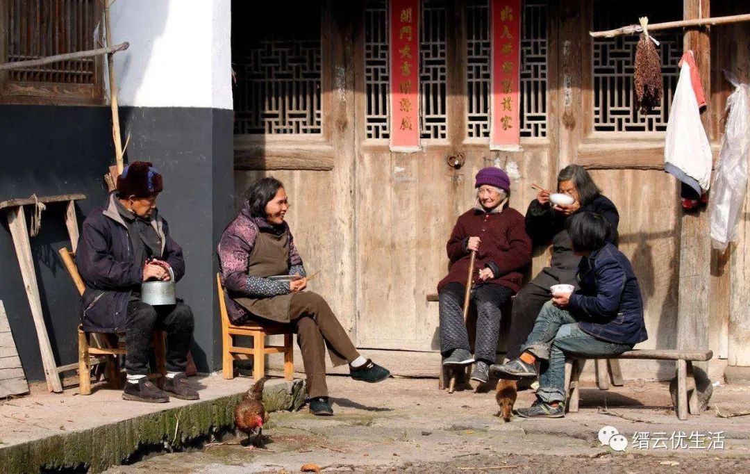 雅宅苦槠豆腐,雅宅苦槠腐