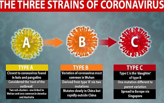 令人振奋！新冠病毒弱点找到了，一旦突破拿下诺贝尔奖也不在话下