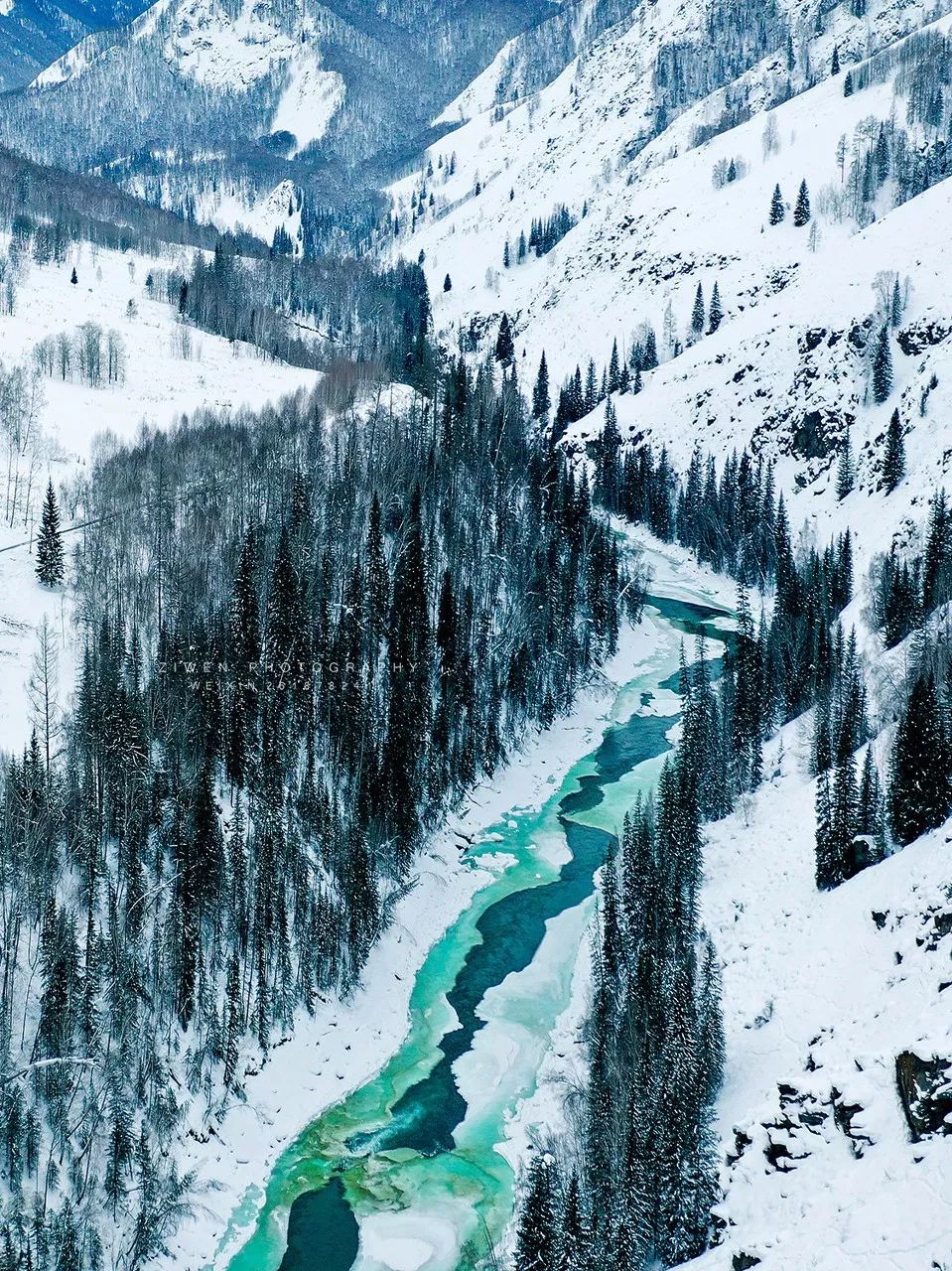 鍫瘮鐟炲+鐨勪腑鍥芥粦闆満,濯茬編鐟炲+