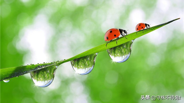 电池没电可以咬吗为什么,电池没电咬一咬还有电怎么回事