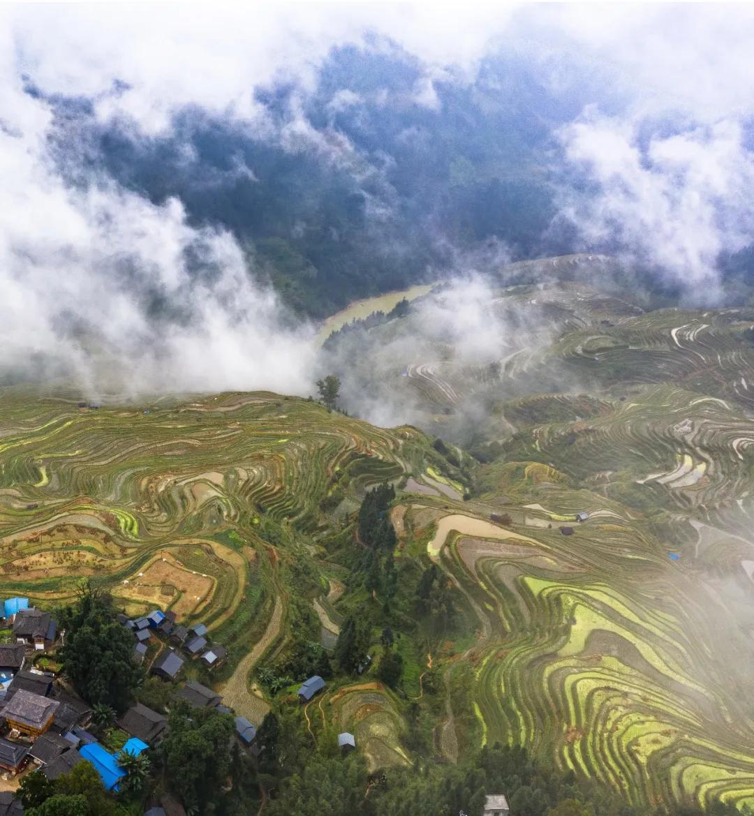 农造田野丨总有一根神经通往乡野|月亮山百里梯田