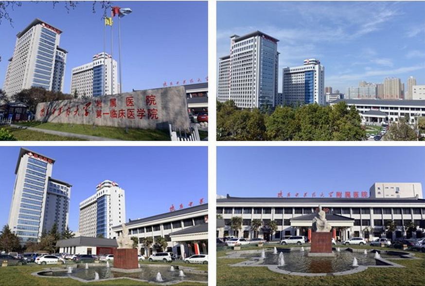 「健康有道」感染HPV不要怕，这些知识点要记牢