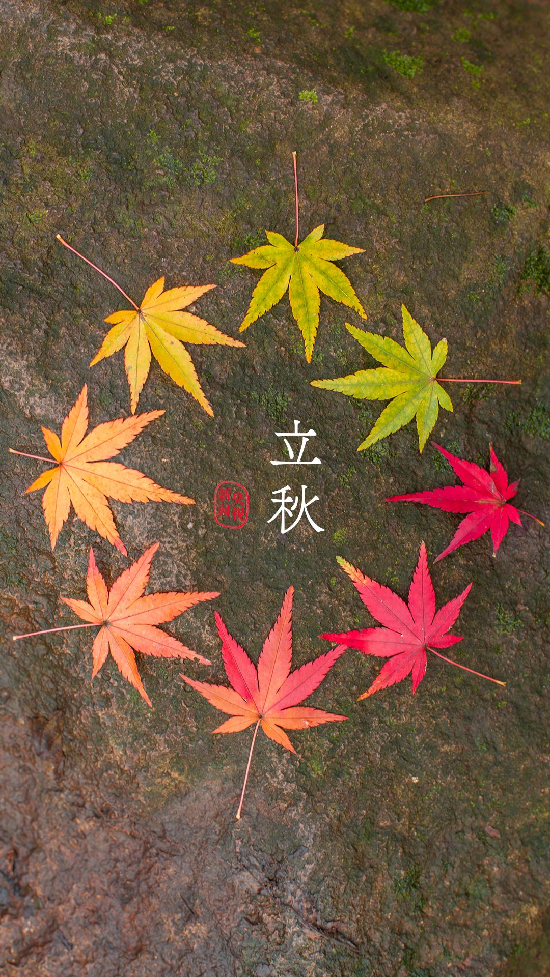 央视珍藏二十四节气手机壁纸,二十四节气壁纸手机超清全面屏