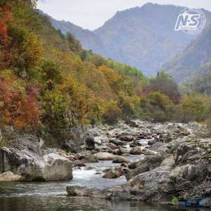 游钓篇｜渔在熊猫故里