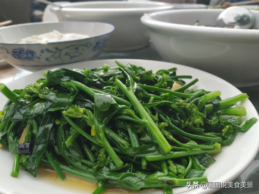 重庆江津中坝岛正宗甘蔗红糖,甘蔗中坝岛视频