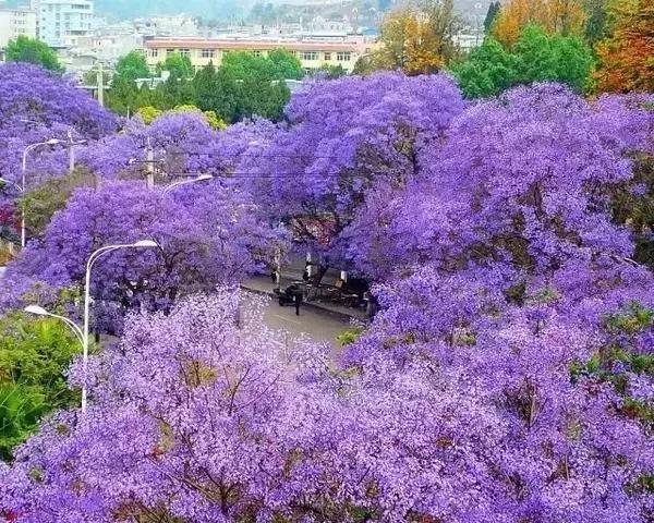 四川这座隐匿千年的古城,四川这座隐藏在喧闹中的千年古镇