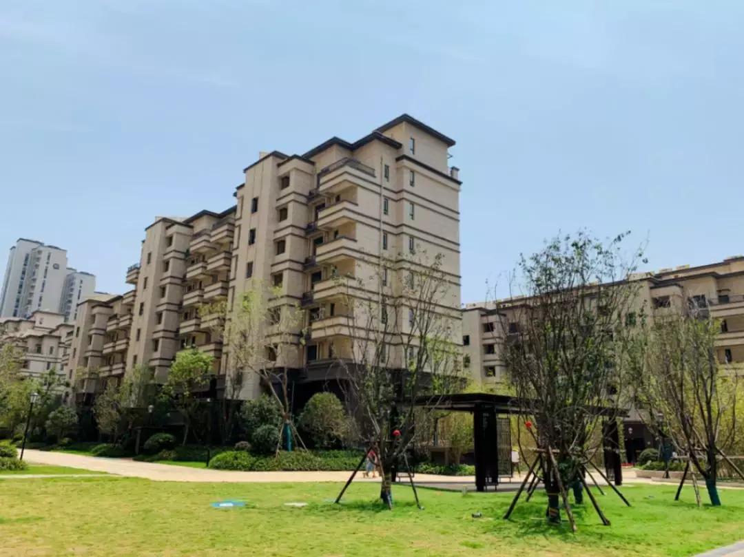 三人成虎感受到了什么,三人成虎口碑