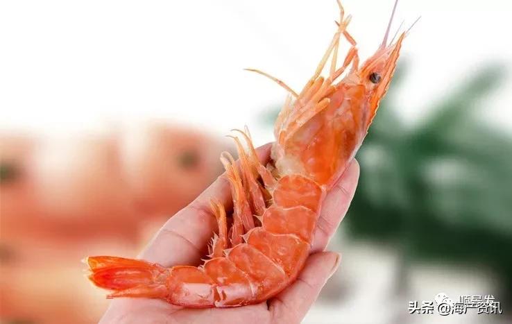 各国海鲜大盘点,今年过年最值得入手的海鲜
