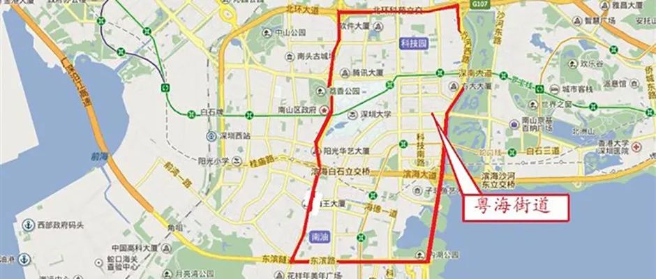 粤海街道火了，这里的核心物业再次聚焦全市目光！