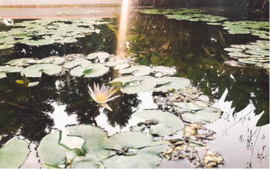 泰国普吉岛自驾游攻略2015视频,泰国普吉岛旅游攻略自由行