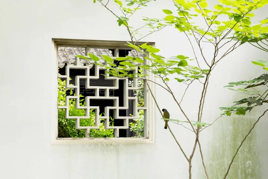 一生必背50首宋诗,一生必背60首宋诗大全