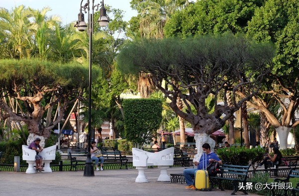 爱吃仙人球的国家,最喜欢吃仙人掌的国家是墨西哥