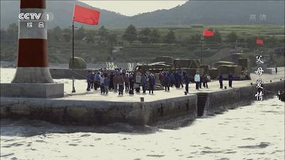 父母爱情为何拿奖,父母爱情总共获得几回奖