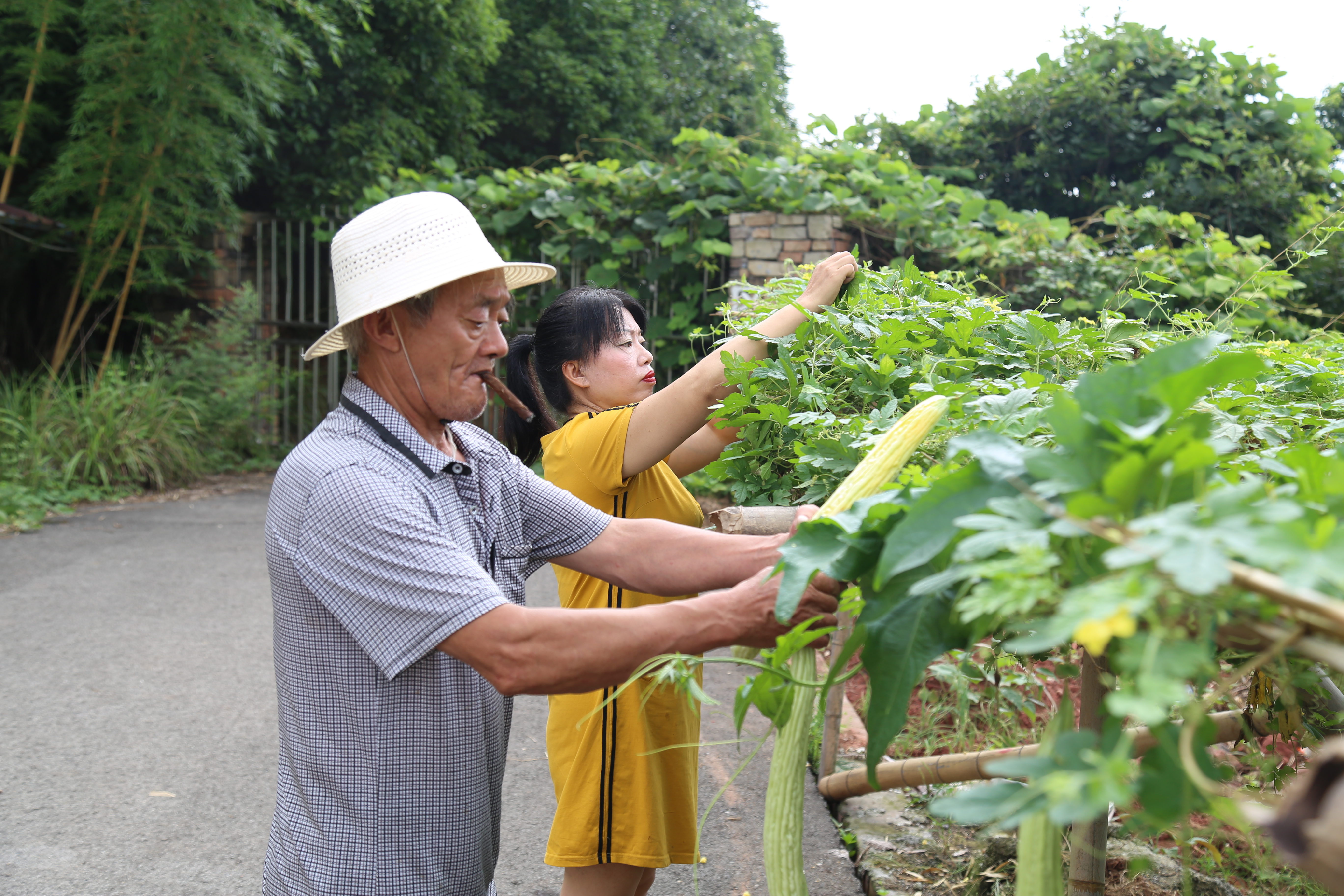 献血为爱逆行凝聚起真情与大爱,无偿献血工作者简要事迹