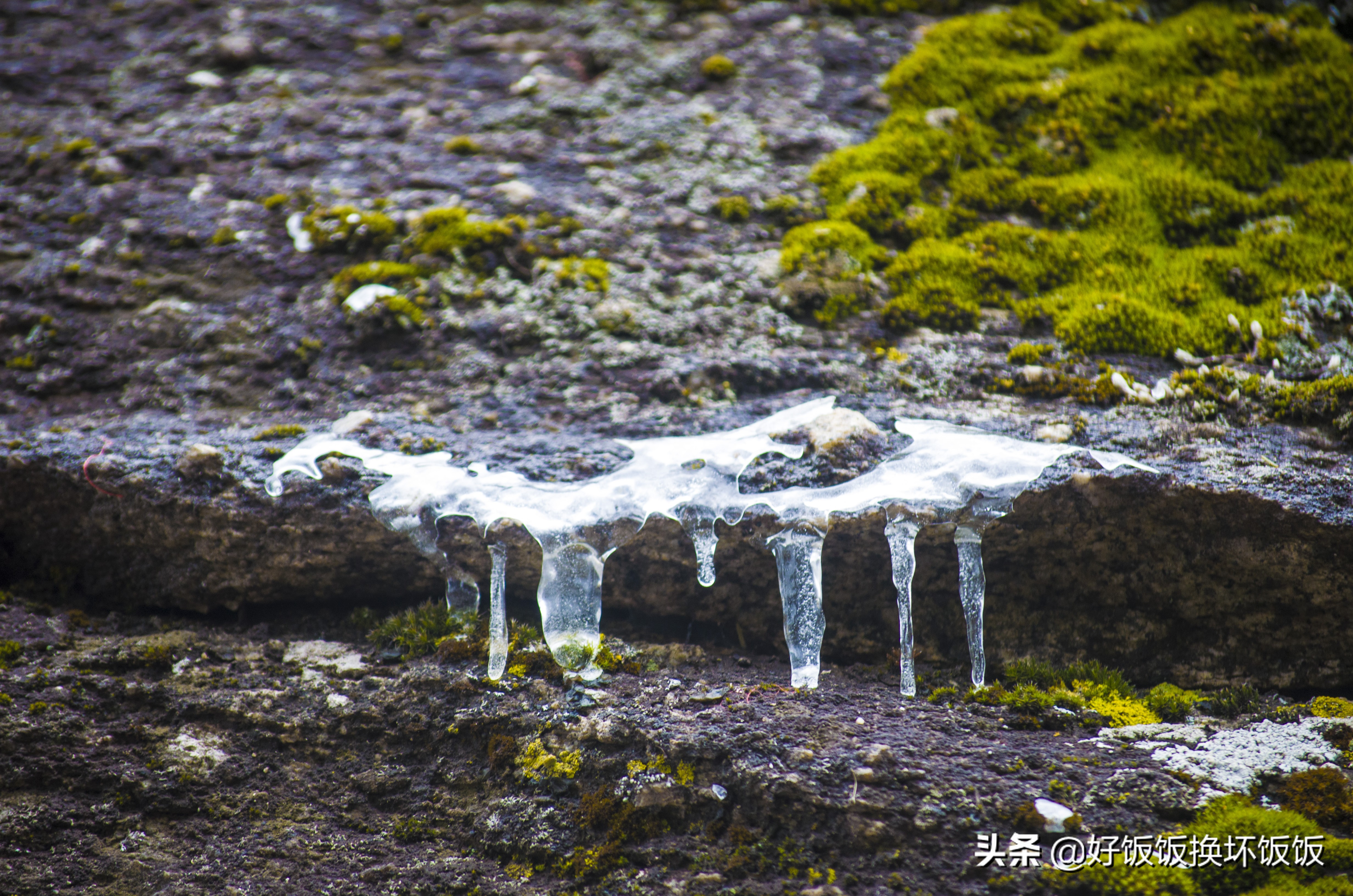 华山站到华山北峰怎么走,华山西峰到华山北峰山路怎样