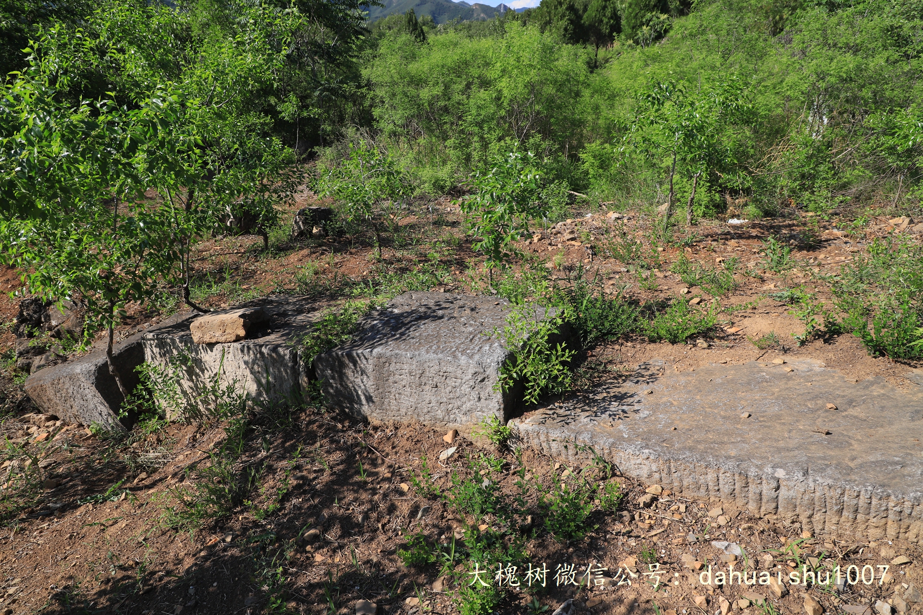 嘉靖陵墓永陵和永乐大典,明朝十三陵之永陵