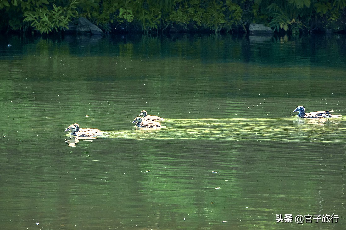 自驾游夏天长白山旅游攻略,夏天长白山附近旅游攻略