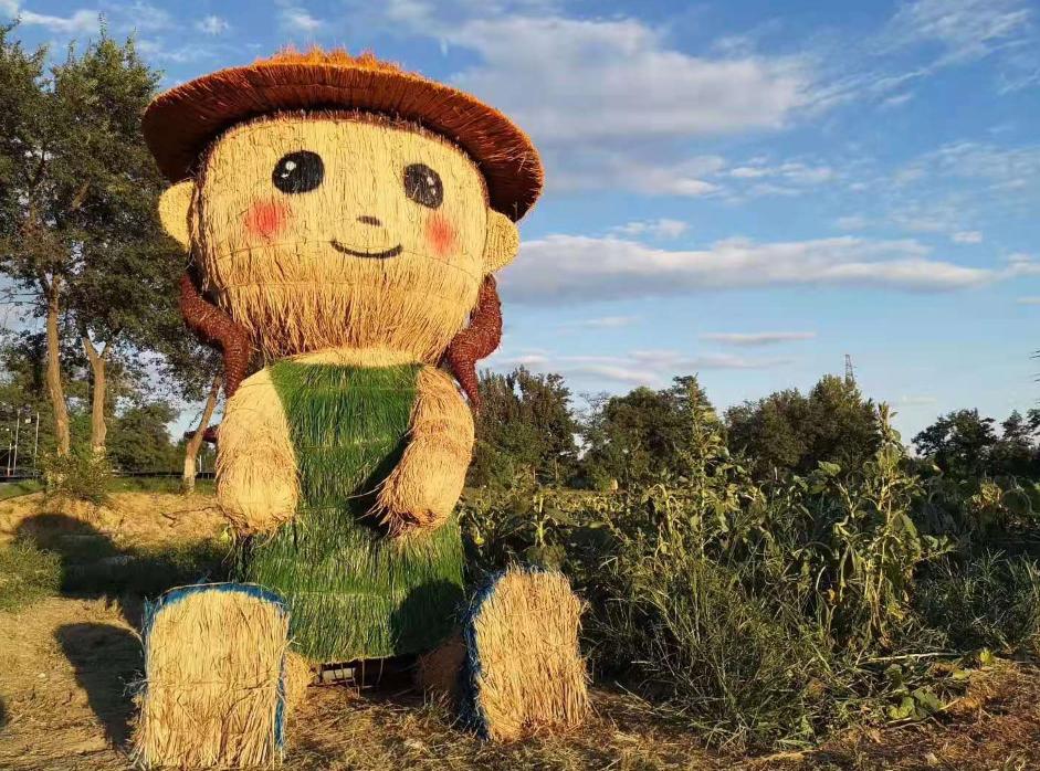 北京4月踏青的地方丰台区有哪些,丰台踏青好去处