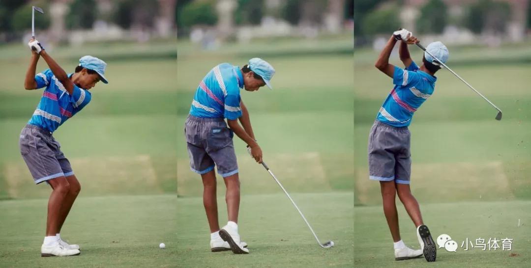 美国高尔夫老虎伍兹,高尔夫名将老虎伍兹