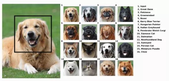 画漫画书用什么软件,画漫画写文