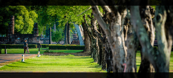 泰国旅游漫游,最新鲜玩转泰国攻略