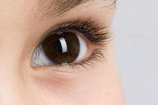 阿丽秀眼霜去脂肪粒有效果吗,正品名门泽佳眼霜