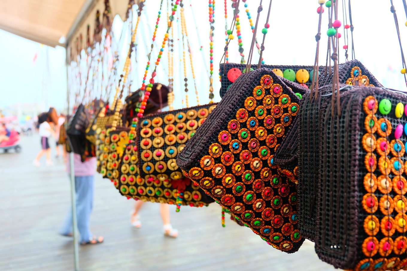 骆驼青岛,骆驼旅行在路上