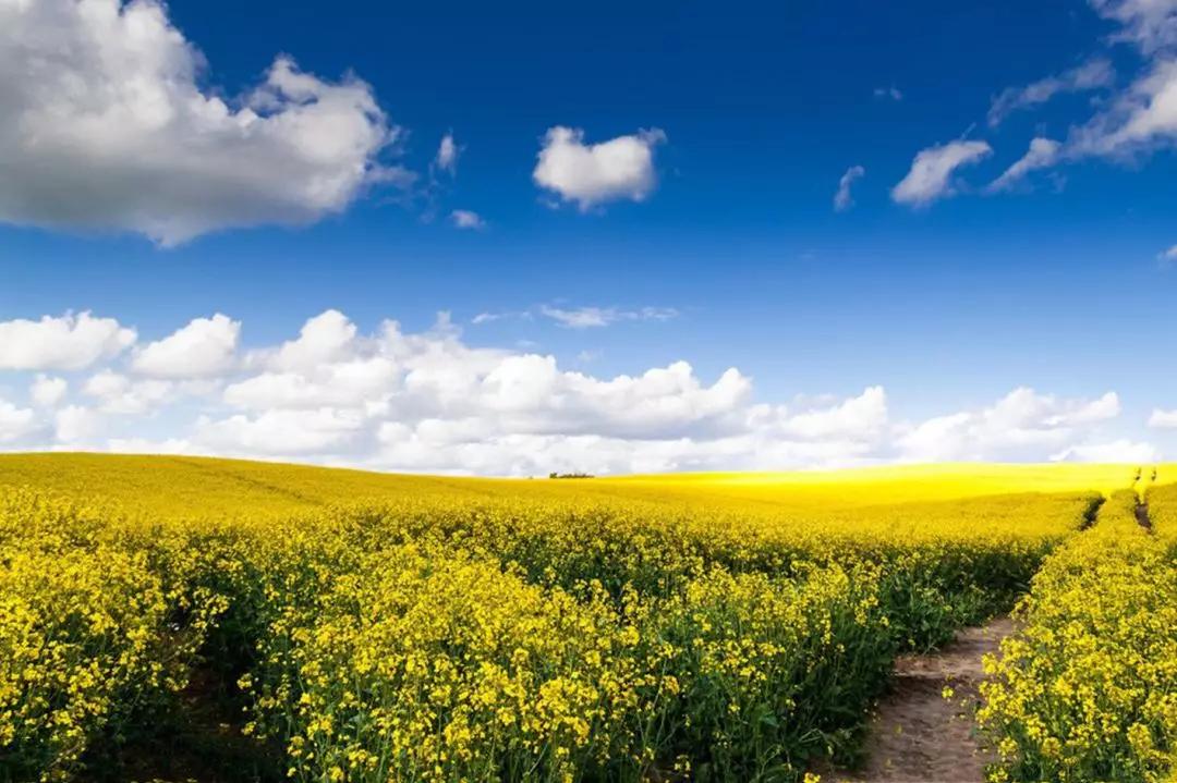 张北最美的景区是哪里,最美的草原自驾游路线攻略