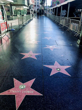 想去洛杉矶旅游如何办旅游签证,去洛杉矶旅游需要什么条件