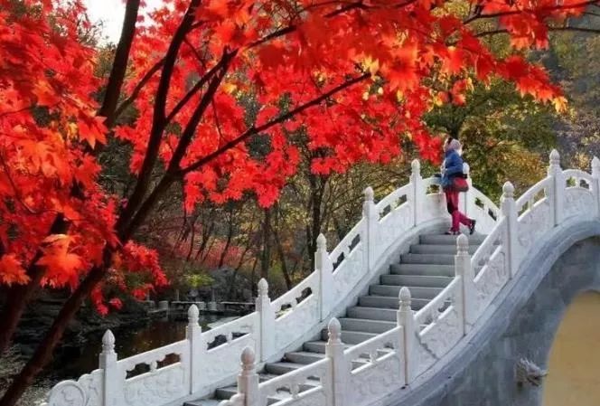 沈阳游玩景点攻略,沈阳游玩景点推荐泡温泉