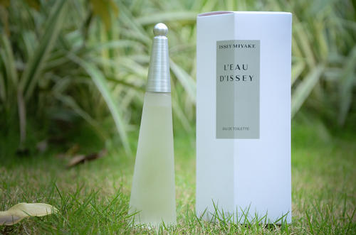 入门级香水推荐女,全球公认最好闻的十大女士香水