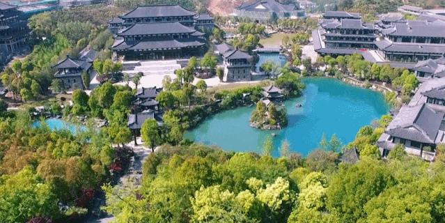 衢州为啥没有衢州鸭头,衢州鸭头不一样