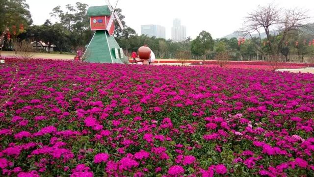 你眼中的珠海城市面貌,怎么评价珠海这个城市