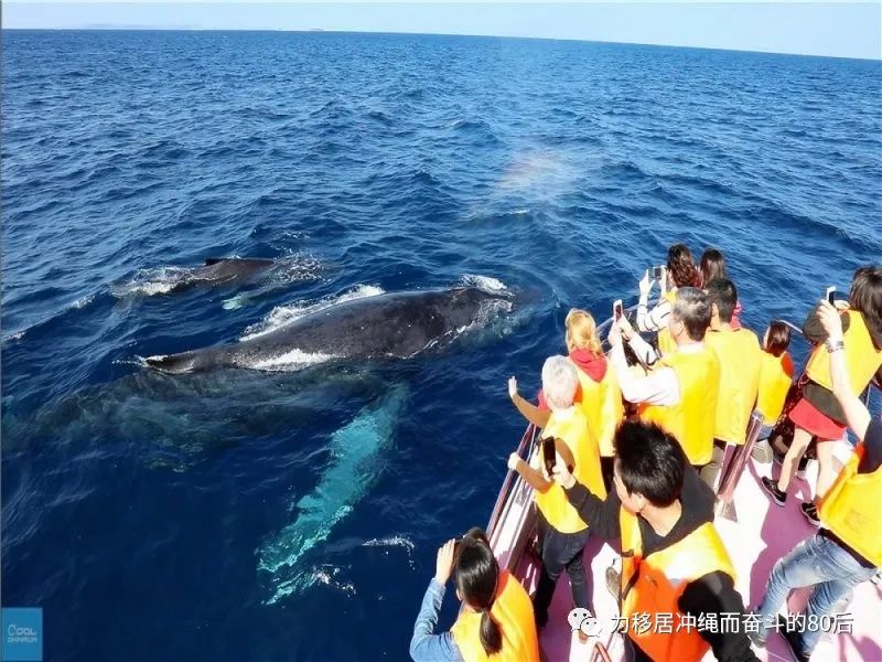 12月份冲绳攻略,移居冲绳条件