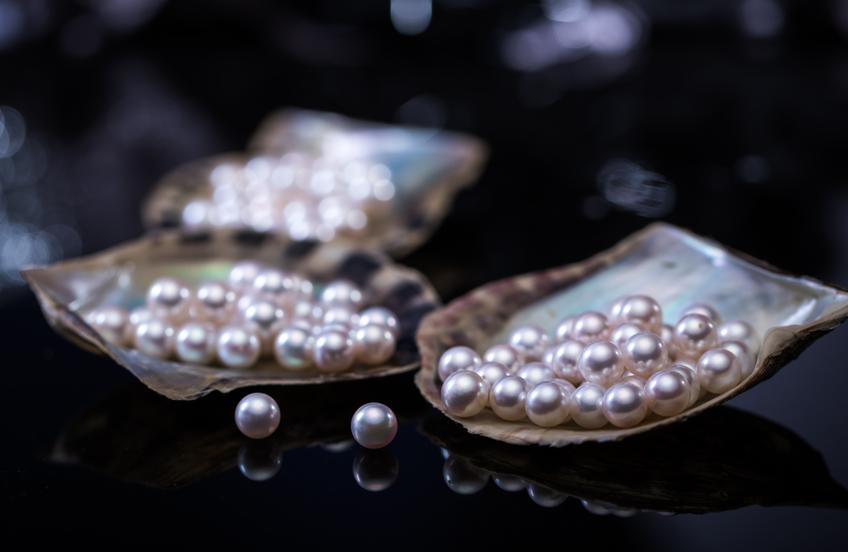 北海市南珠宫珍珠饰品有限公司,胡润珍珠品牌