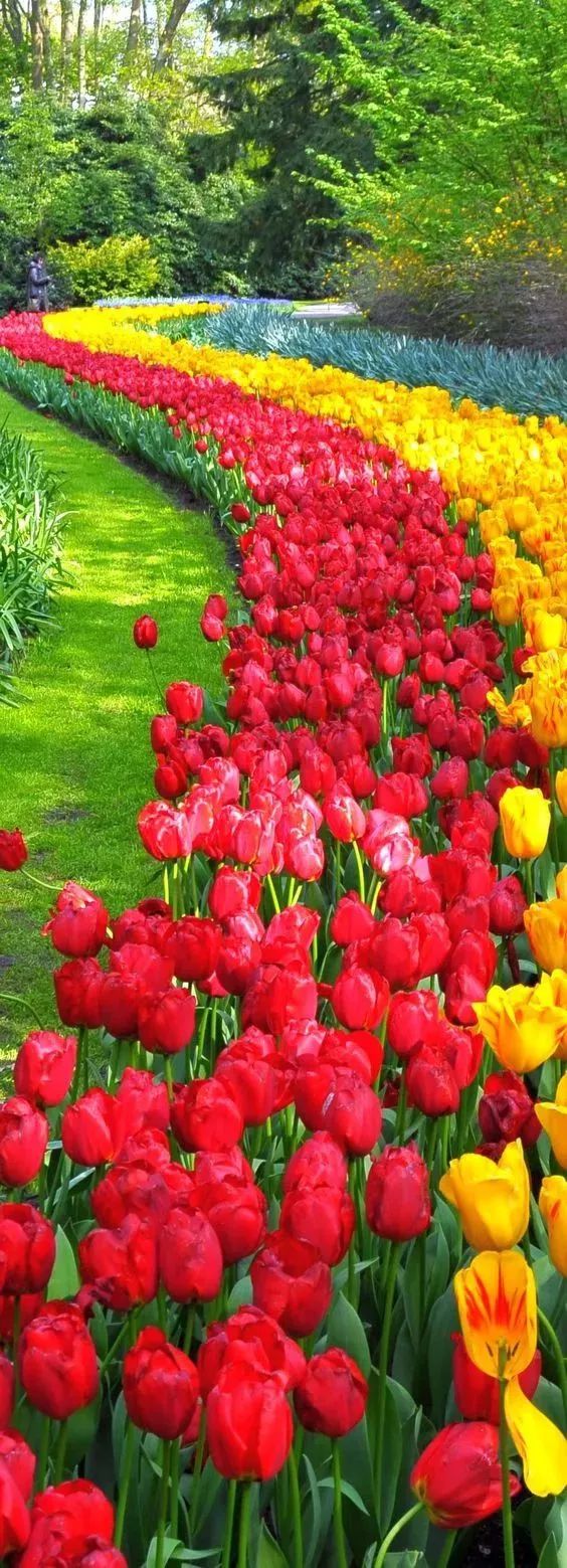 青山绿水国画精品欣赏,精品家居作品欣赏