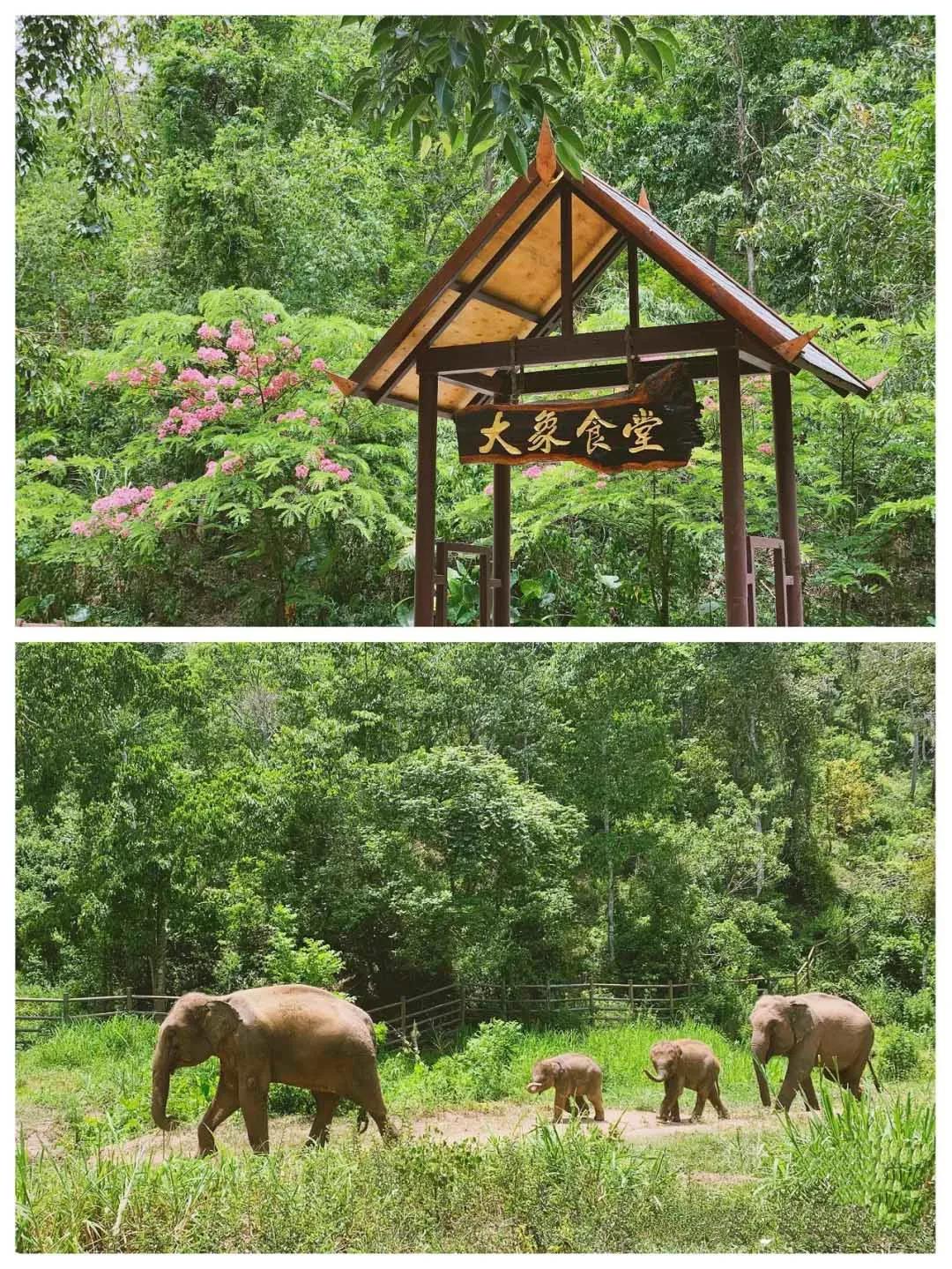 浜戝崡鏅椽榛庢槑涔嬪煄鍥剧墖,鏅椽榛庢槑涔嬪煄鍘嗗彶