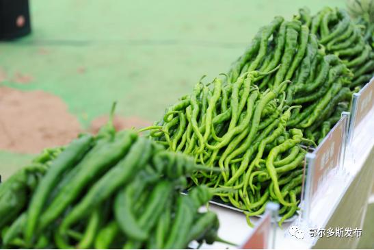 超燃！丰收的的鄂托克前旗美了美了~