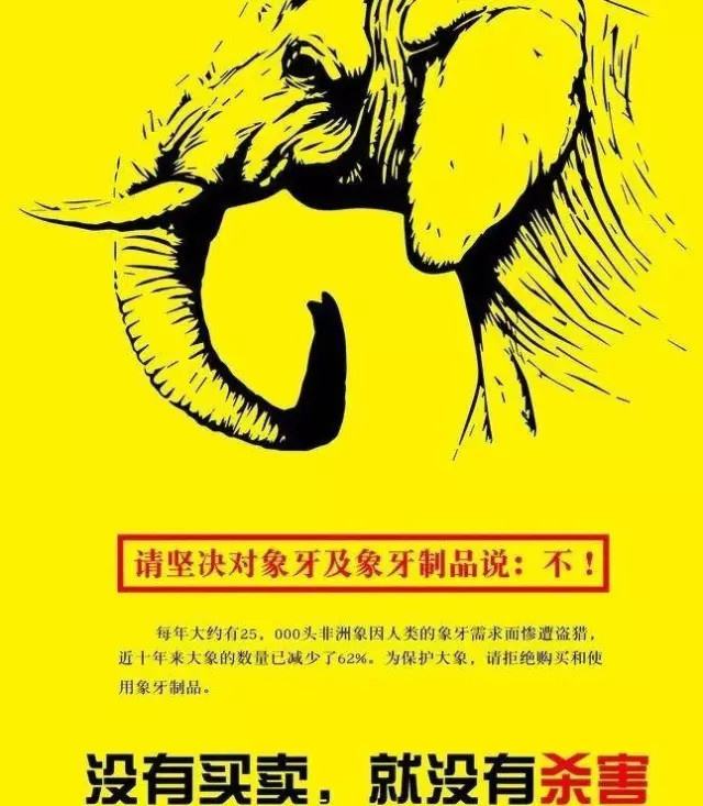 私自捕捉20只以下的麻雀犯法吗,捕捉小麻雀犯法吗