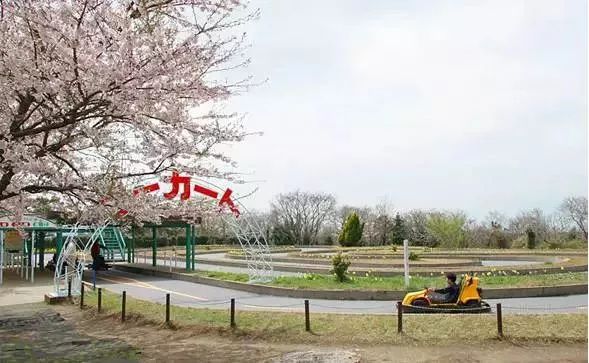 日本母亲农场项目,日本一个亲子农场年赚3亿