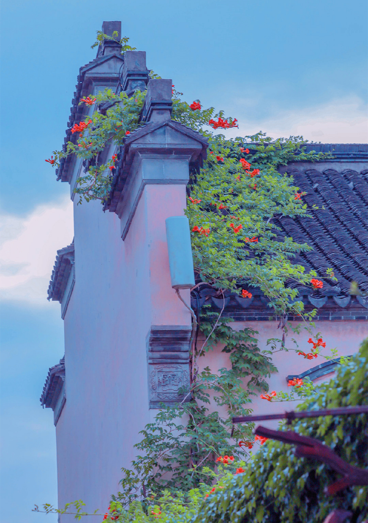 南京可不只有夫子庙,南京鸡鸣寺什么吃的