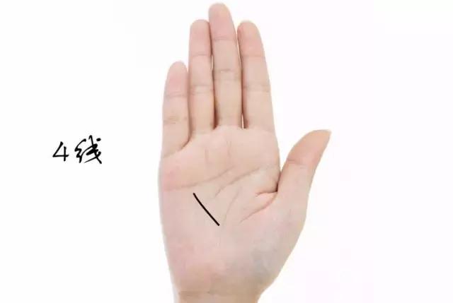 看看你的掌纹,看看你的手相