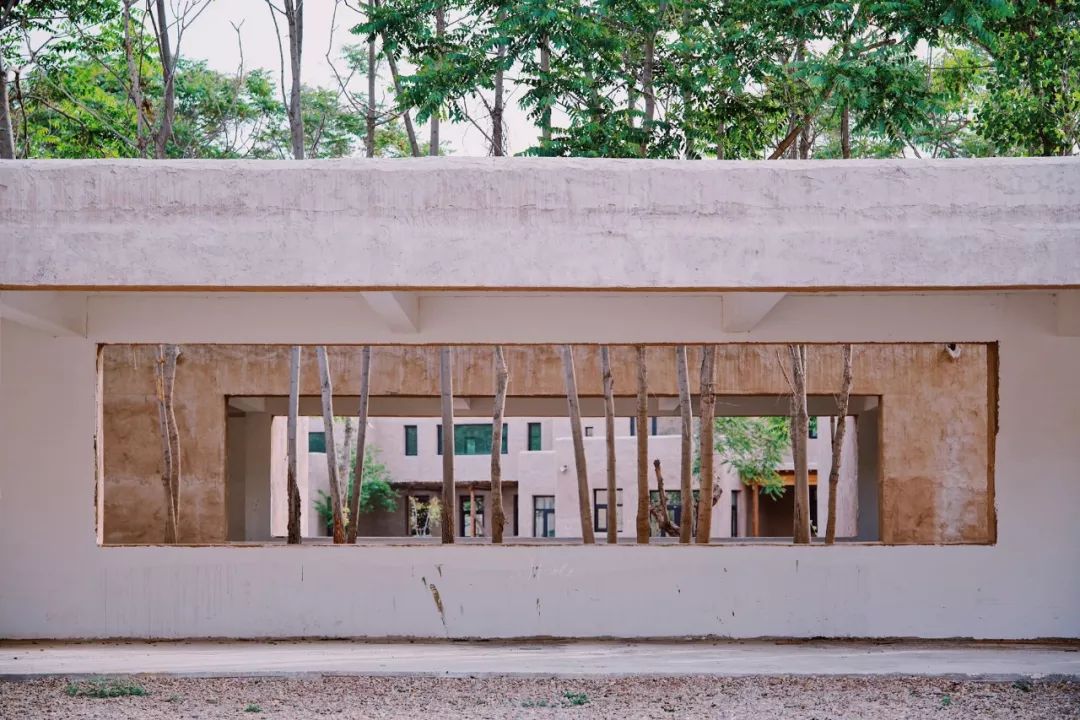 可盐可甜是哪首歌的歌词,可盐可甜出自哪