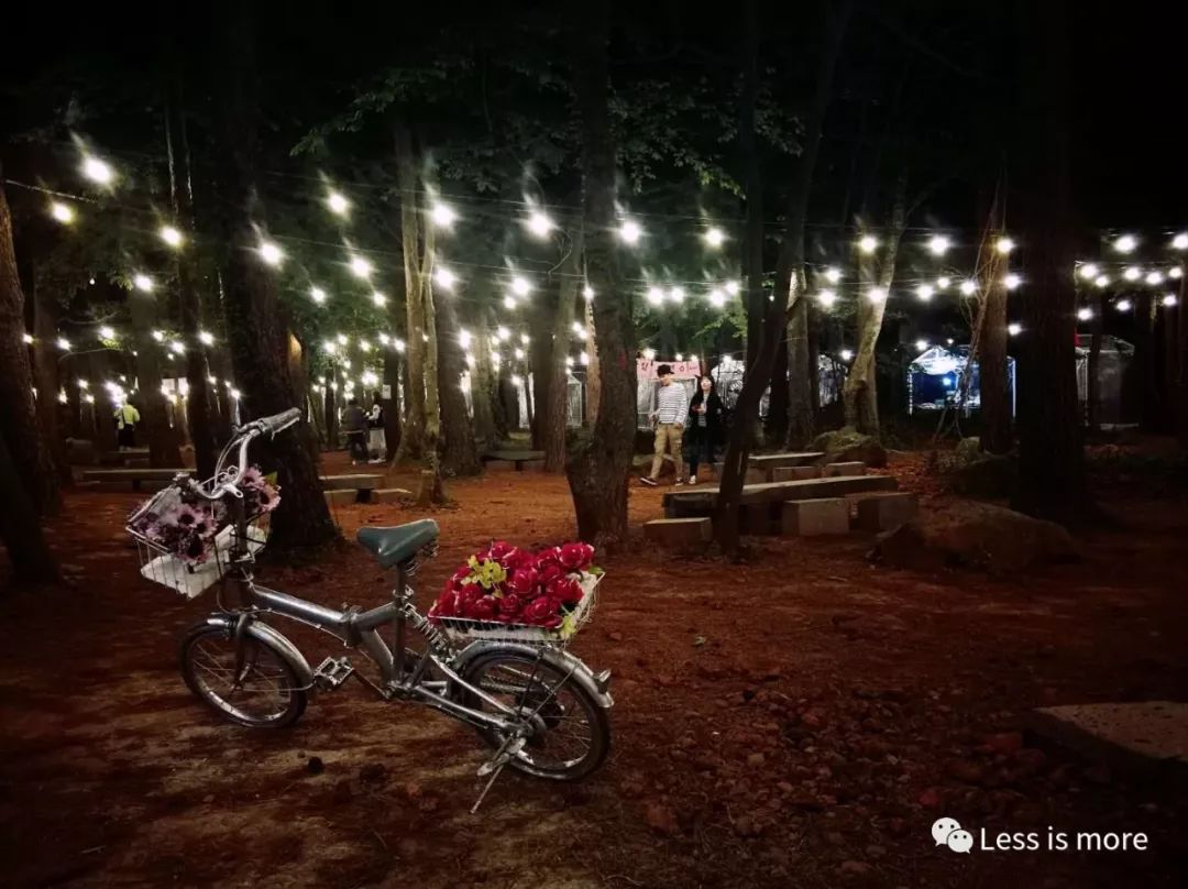 济州岛夜市推荐,韩国济州岛橘园咖啡馆在哪里