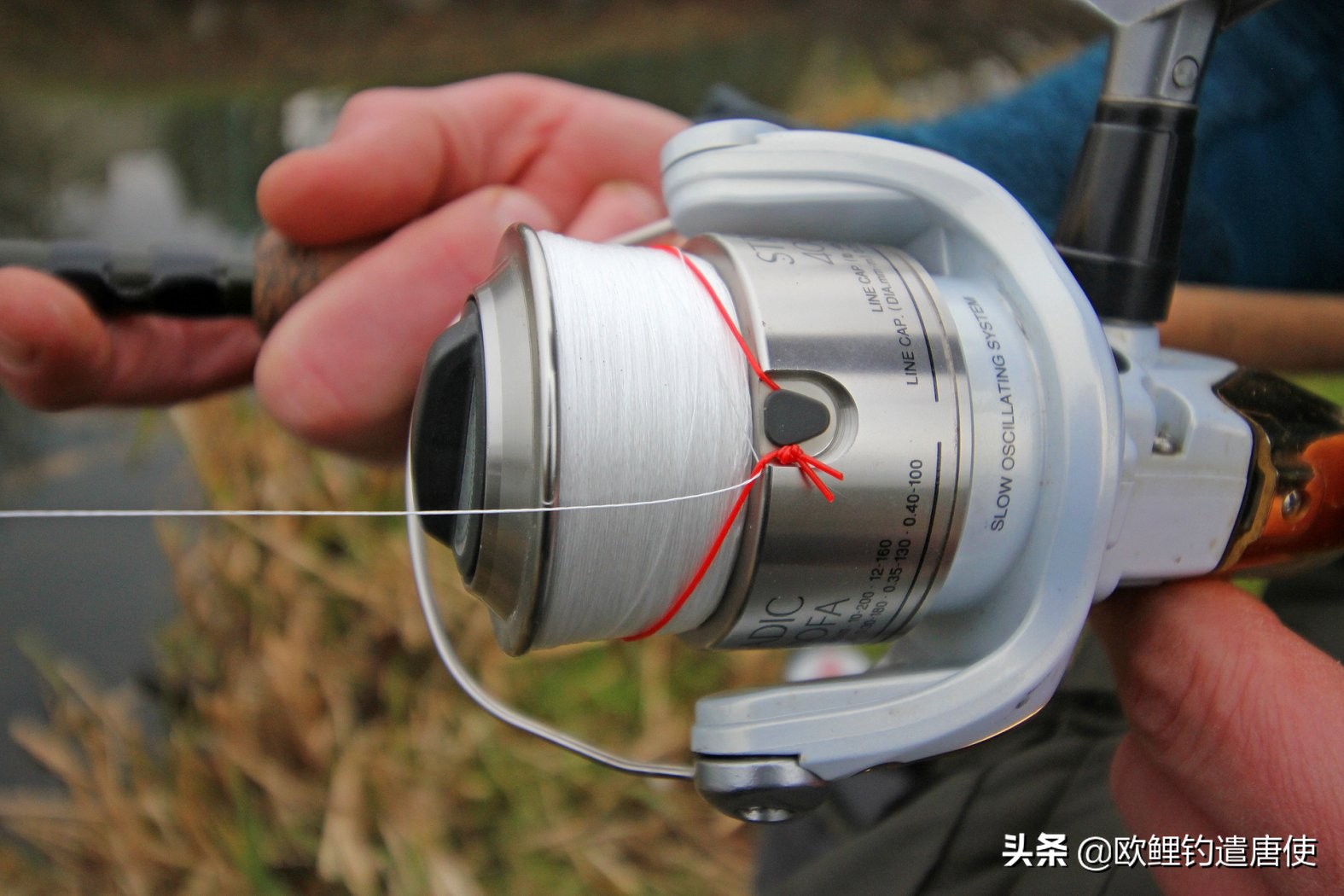 欧鲤钓鱼抛投技巧视频,话说欧鲤钓之抛投篇