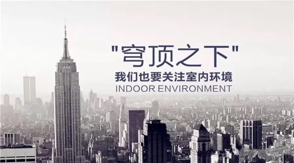 福庆木本豆甲醛含量是多少,福庆木本豆测试