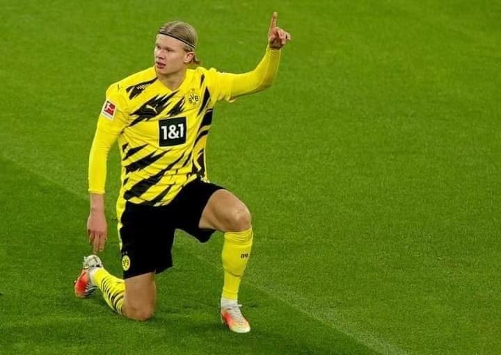 你们懂球吗,你们懂足球吗