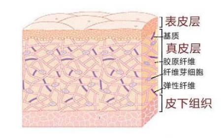 25岁眼角纹严重怎么办能补救吗,25岁眼下细纹怎么去除