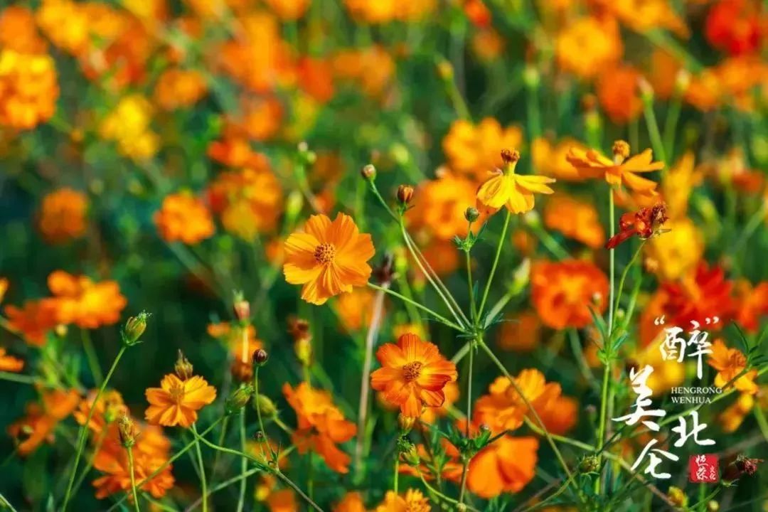 北仑旅游攻略大全集,北仑旅游攻略